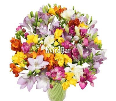 Букет із 51 фрезії