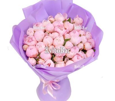 Букет 51 рожева імпортна півонія