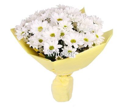 Букет із 7 ромашок