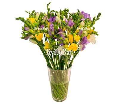 Букет із фрезій