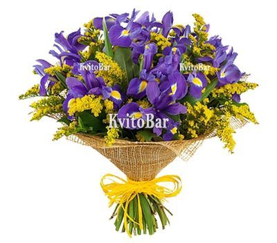 Букет із ірисів і мімози