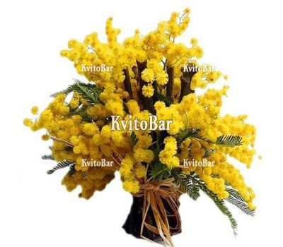Букет із мімози
