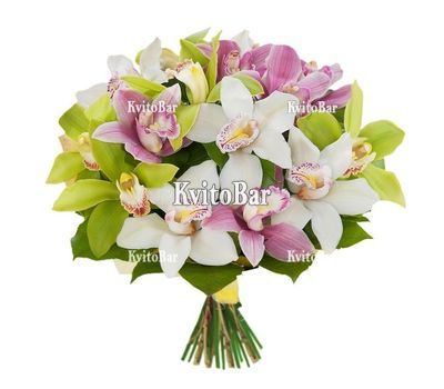 Букет із 15 орхідей різних кольорів