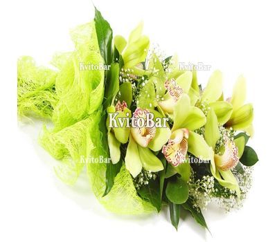 Букет із білої орхідеї Цимбідіум