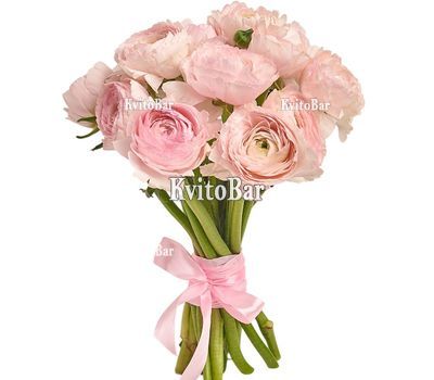 Букет з 11 ранункулюсів