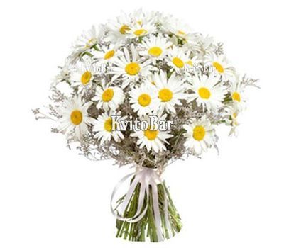 Букет польових ромашок