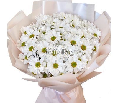 Букет ромашок