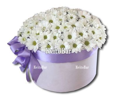 Букет ромашок в коробці