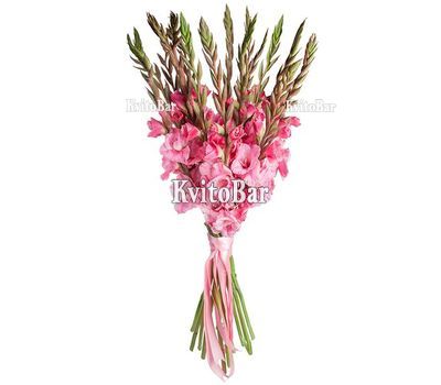 Букет розовых гладиолусов