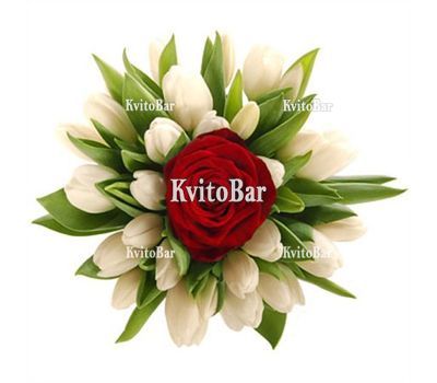 Букет тюльпанів з трояндою