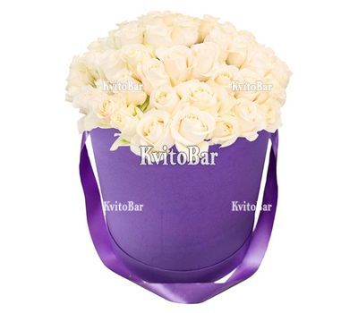 51 біла троянда в коробці