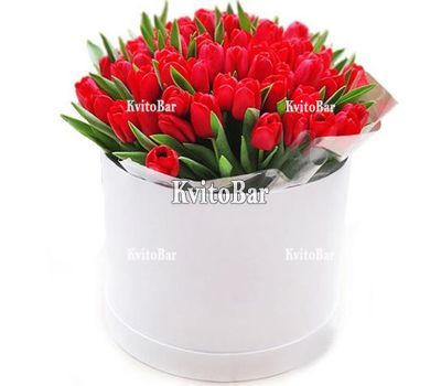Red tulips in a box