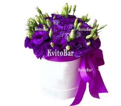 Еустоми в коробці