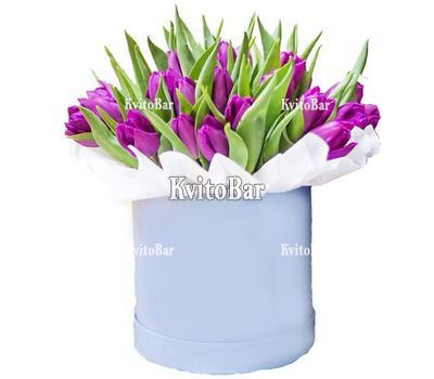 Фіолетові тюльпани в коробці