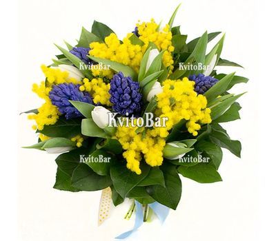 Гіацинти і мімоза