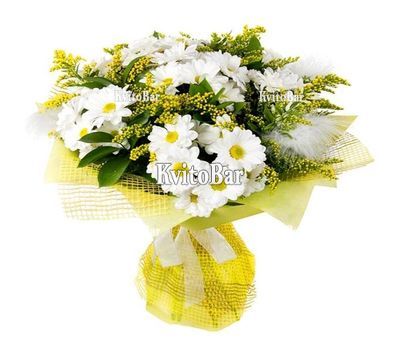 Хризантеми і мімоза