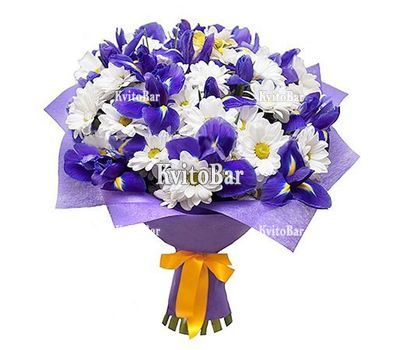 Хризантеми та іриси