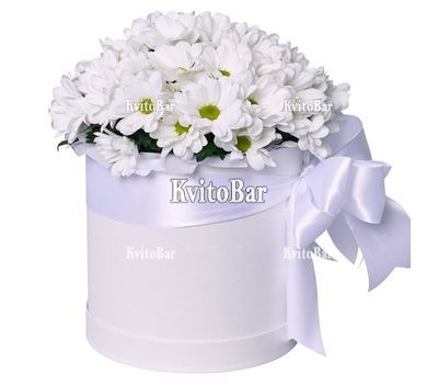 Хризантеми в коробці