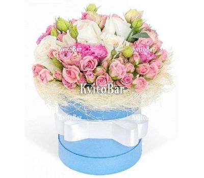 Composition in a box