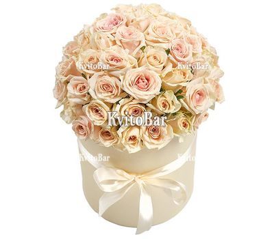 Cream roses in a box