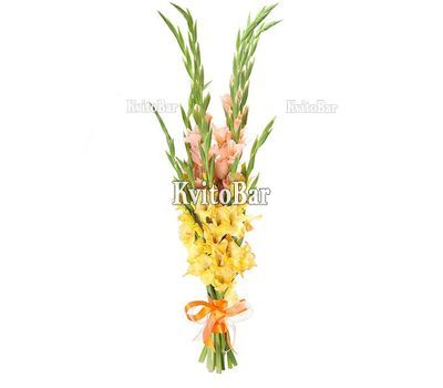 Милий букет гладіолусів