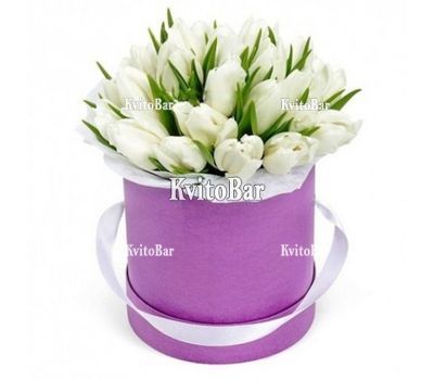 25 тюльпанів білого кольору в коробці