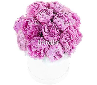 Півонії в коробці