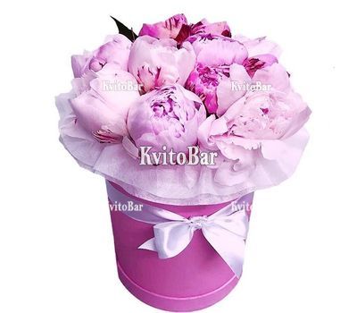 9 українських півонів у коробці