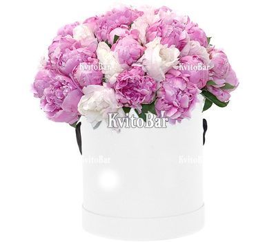 Півонії в шляпній коробці