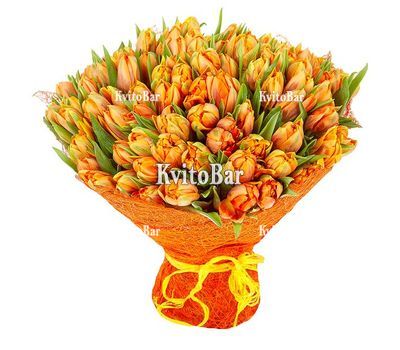 Букет із 101 помаранчевого тюльпана