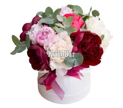 Різнокольорові півонії в коробці