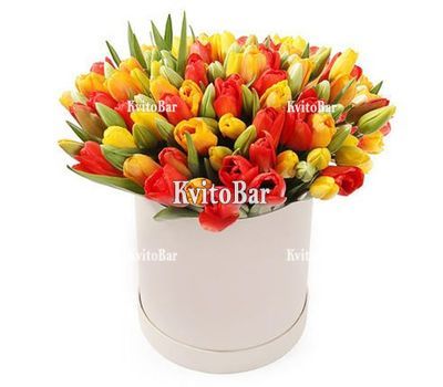 Різнокольорові тюльпани в коробці