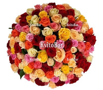 Різнокольорові троянди поштучно