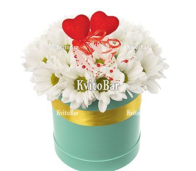Коробка з ромашкових хризантем