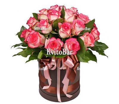 Roses Jumilia in the box