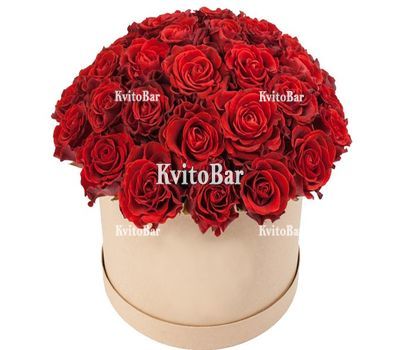 Троянда Ельторо в коробці