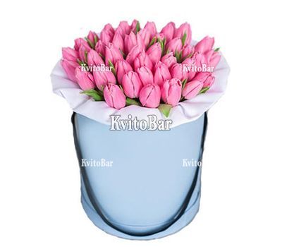 Рожеві тюльпани в коробці