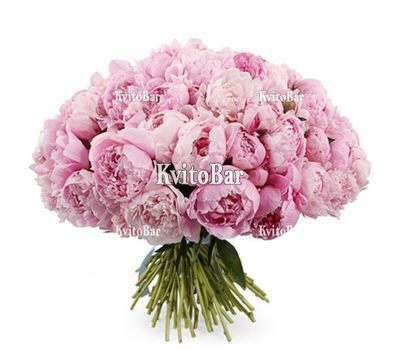 Розкішний букет півоній