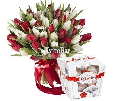 Коробка 51 червоного та білого тюльпана