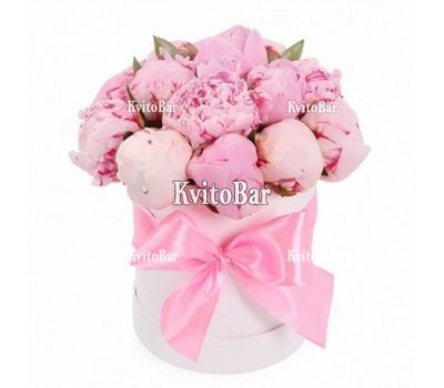 Шикарні півонії в коробці