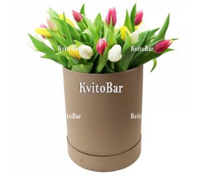 Tulips in a Box
