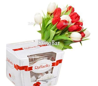 Білі та червоні тюльпани з Raffaello