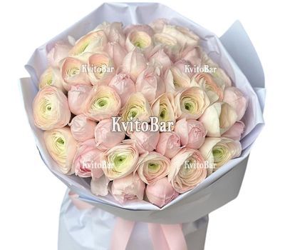 Величезний букет із ранункулюсів