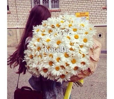 Букет из 101 крупной ромашки