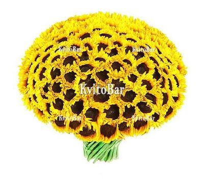 Великий букет з 101 соняшника