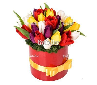 25 тюльпанів у коробці