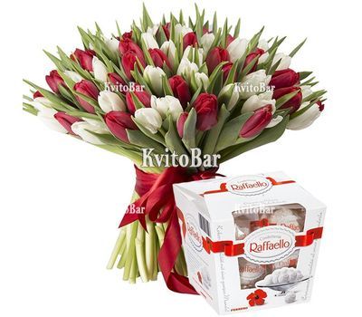 Букет із 101 червоного та білого тюльпана