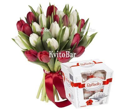 Букет з 25 червоних та білих тюльпанів