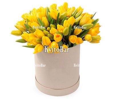 Коробка із 51 жовтого тюльпана