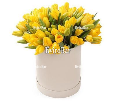 Жовті тюльпани в коробці